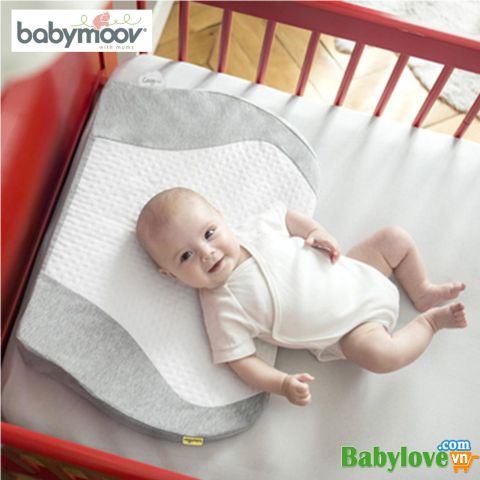 Gối chống trào ngược Babymoov BM014302